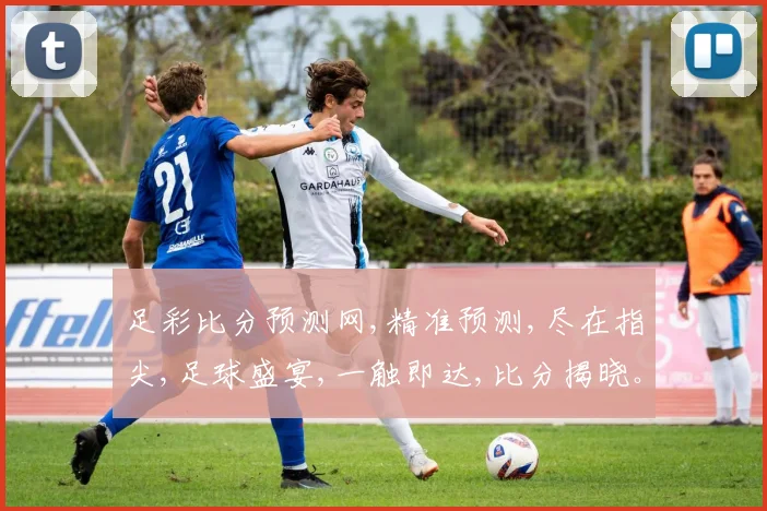 足彩比分预测网,精准预测,尽在指尖,足球盛宴,一触即达,比分揭晓。